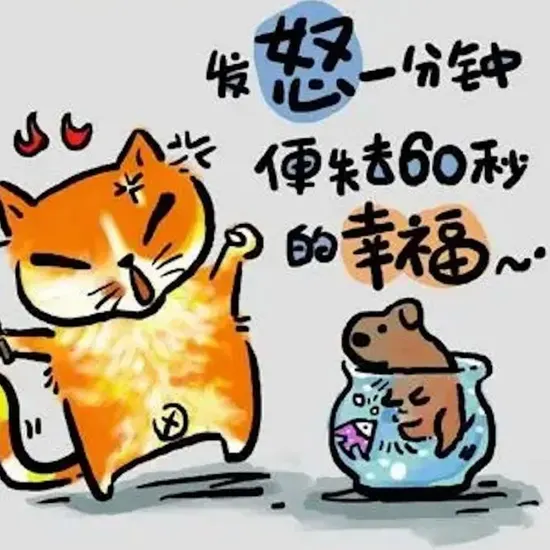 我的英雄学院